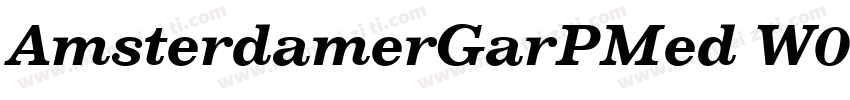 AmsterdamerGarPMed W05 Italic字体转换